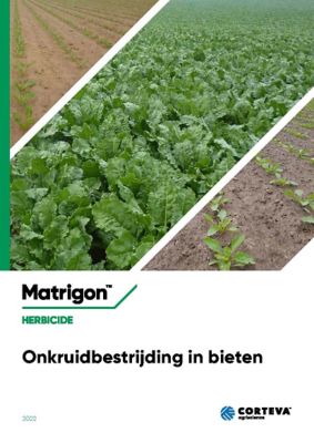 Onkruidbestrijding in Bieten 2022_front